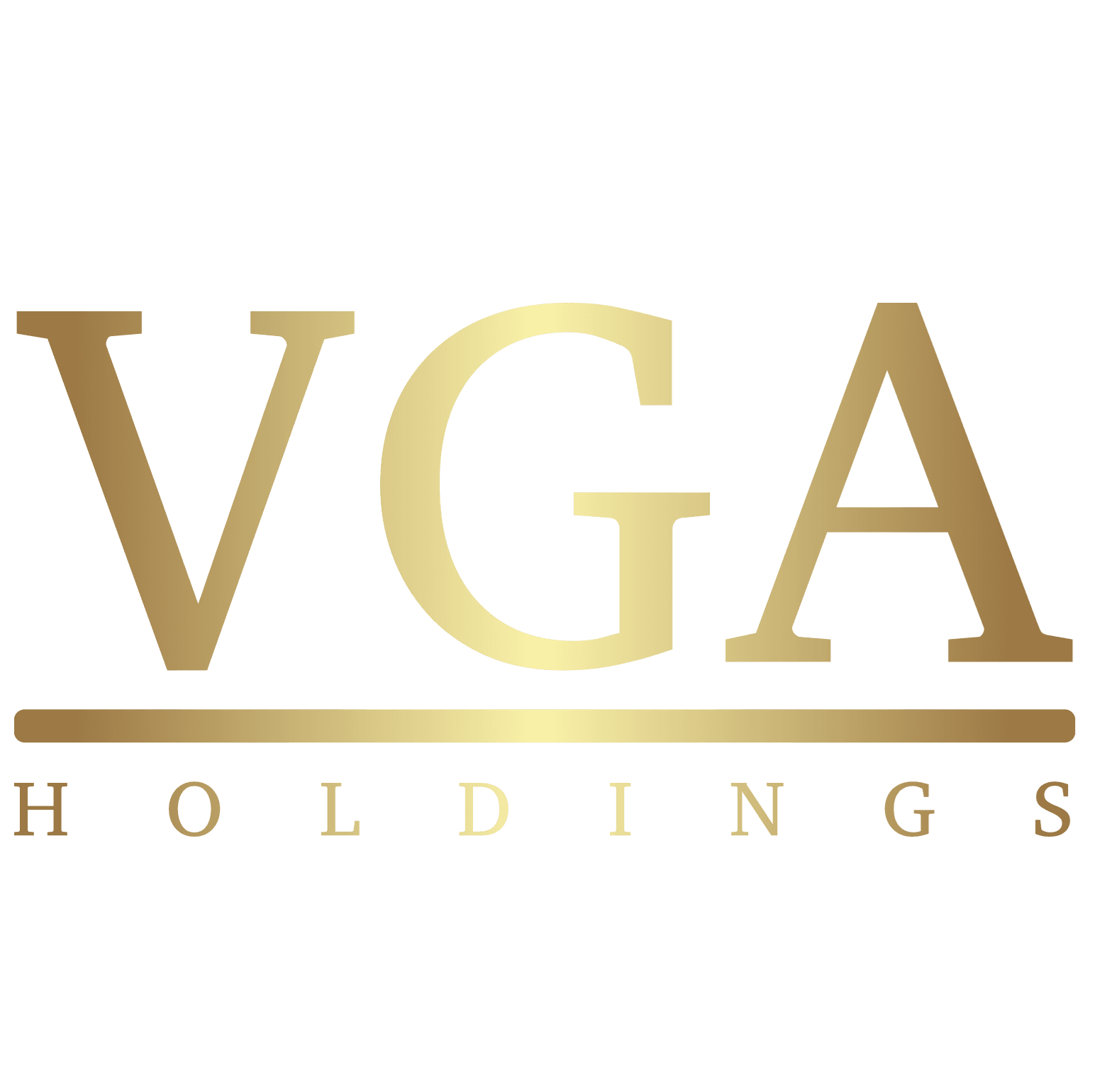 VGA Holdings